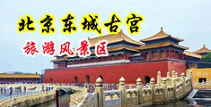 宝贝全部射进去了粗深大无码视频……中国北京-东城古宫旅游风景区