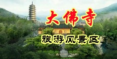 男人插女人B中国浙江-新昌大佛寺旅游风景区